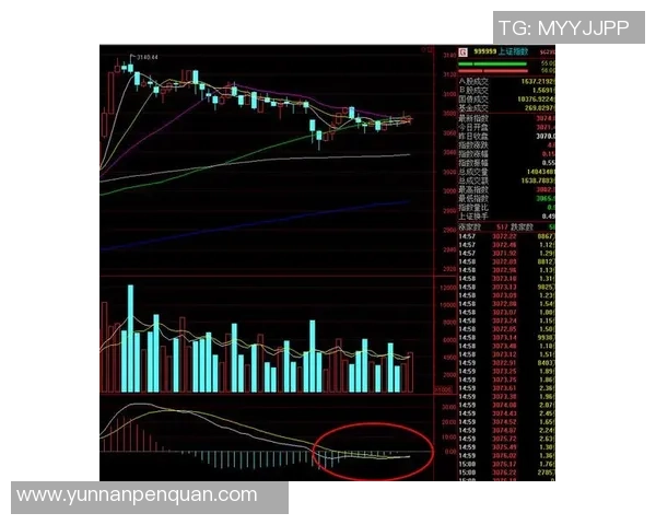 广州排球队与南京排球队赛后复盘分析比赛节奏与战术对比