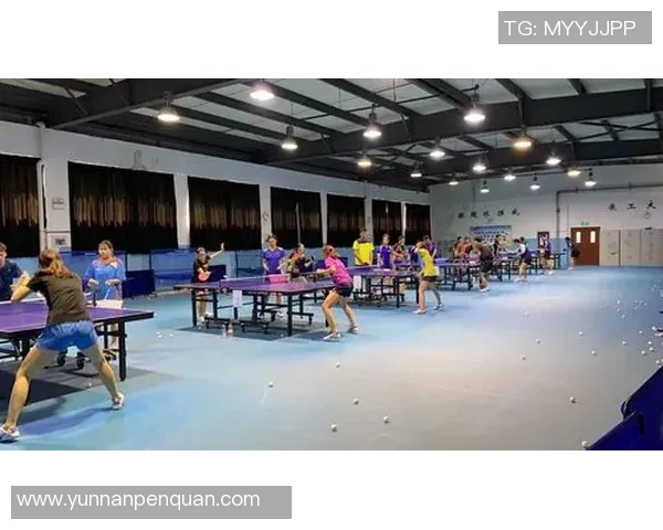 武汉乒乓球队在锦标赛中的精彩表现与状态分析