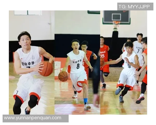 上海篮球队在联赛中的比赛经验与表现分析与总结